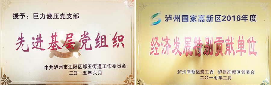 瀘州特種液壓缸