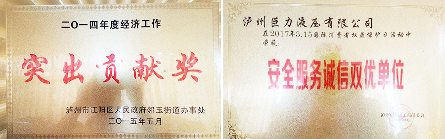 瀘州特種液壓缸