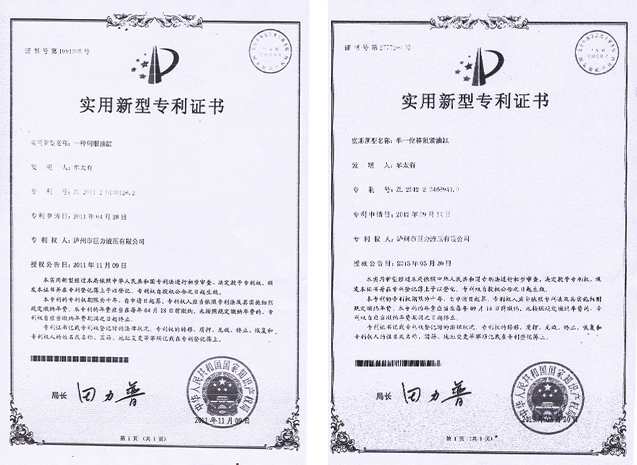 瀘州特種液壓缸